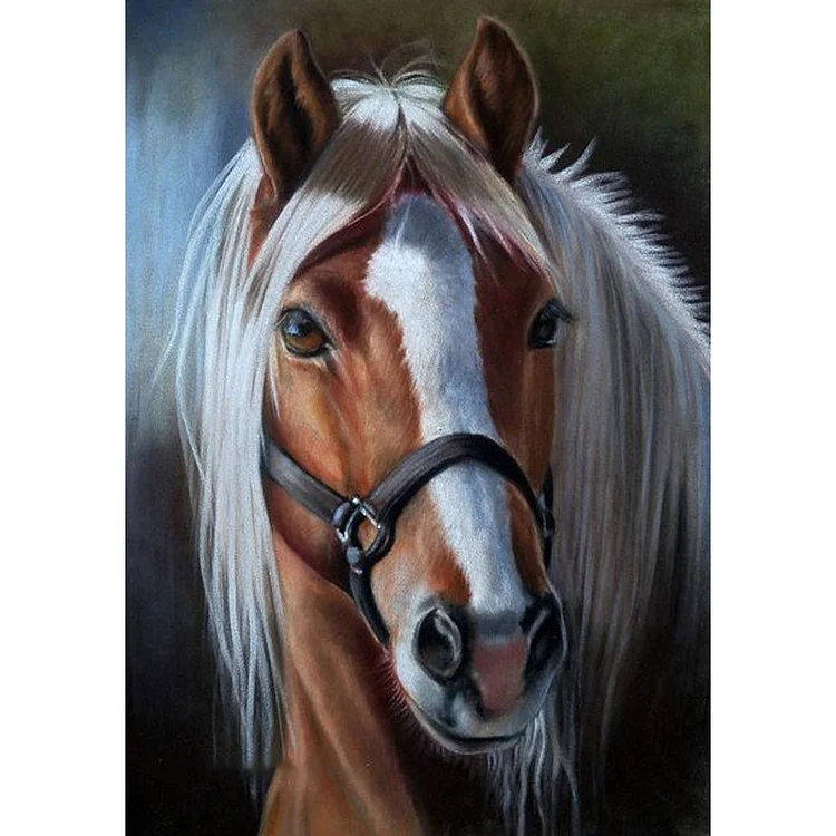 Horse - Full Round - Diamond Painting（30*40cm)