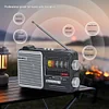 DE808 Multi-functional Portable Radio with Bluetooth, SIM Card, USB Flash Drive, Lighting, and Charging Capabilities