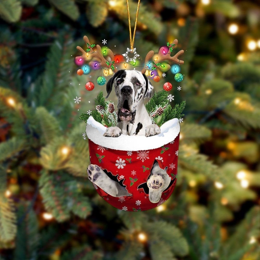 Great Dane 2 In Snow Pocket Christmas Ornament