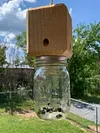 Carpenter Bee Trap Nature Hanging Wood Trap with Glass Jar for Garden Yard Patio