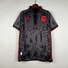2023/2024 Albania National Team Third Away Football Shirt 1:1 Thai Quality
