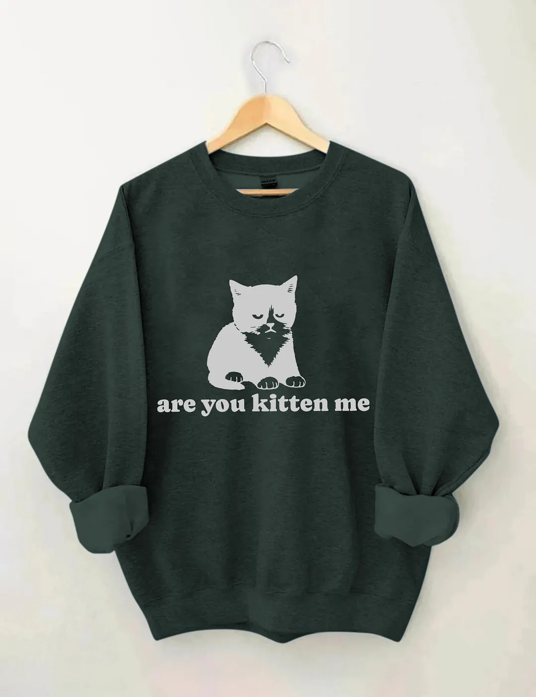 Are You Kitten Me Sweatshirt