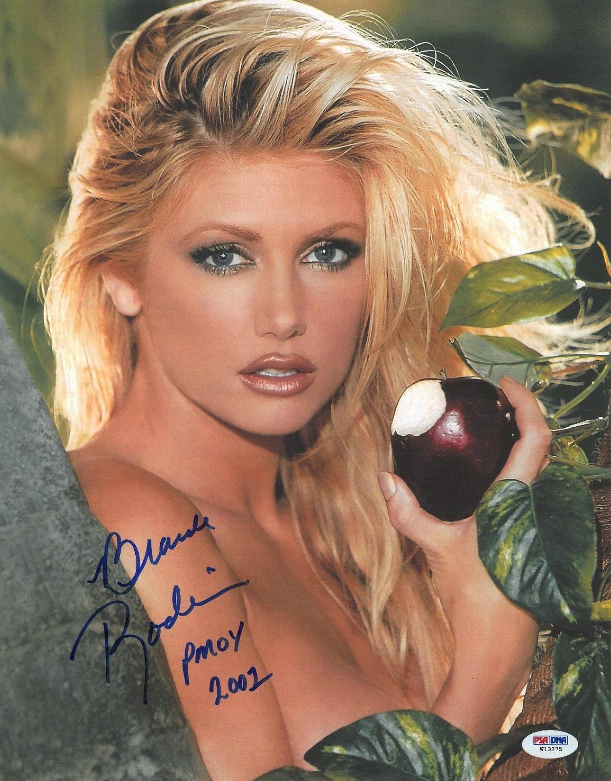 Brande Roderick Signed Playboy Authentic Autographed 11x14 Photo Poster painting PSA/DNA #W13275