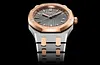 Silver Gold 904L Steel Gray Dial - Watch - 34mm