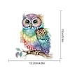 2Pcs Diamond Painting Owl Diamond Art Pendant Wall Decor