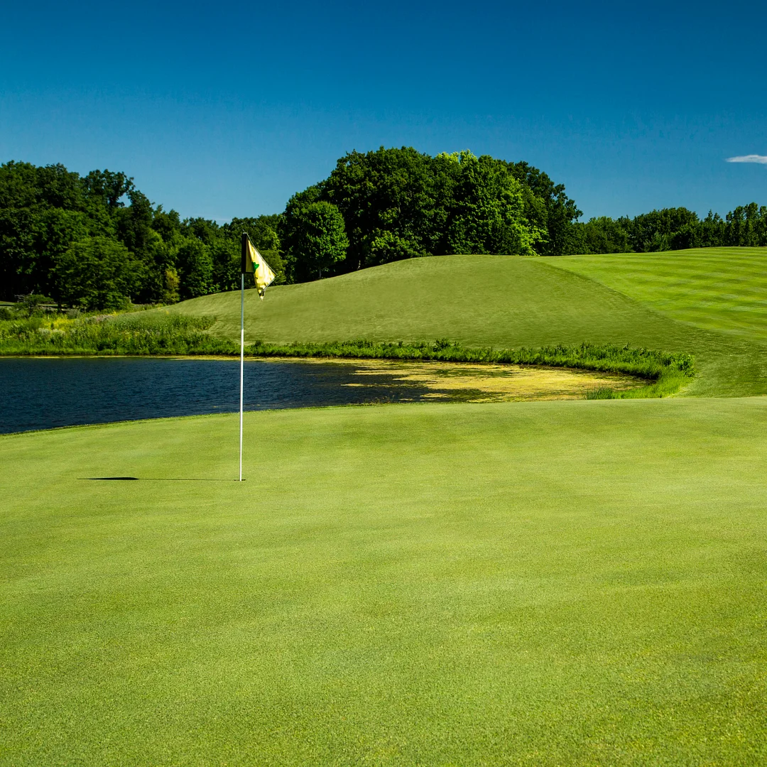 PC2.0 (Penncross) Creeping Bent Grass