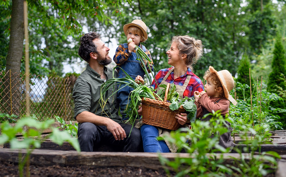 home garden