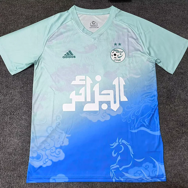 Fans 25/26 Algeria Special Edition Jersey