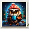 Diamond Painting -DIY Round Partial AB Drill Owl（45x45cm）