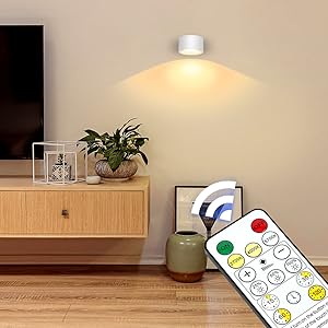 led wall light with remote