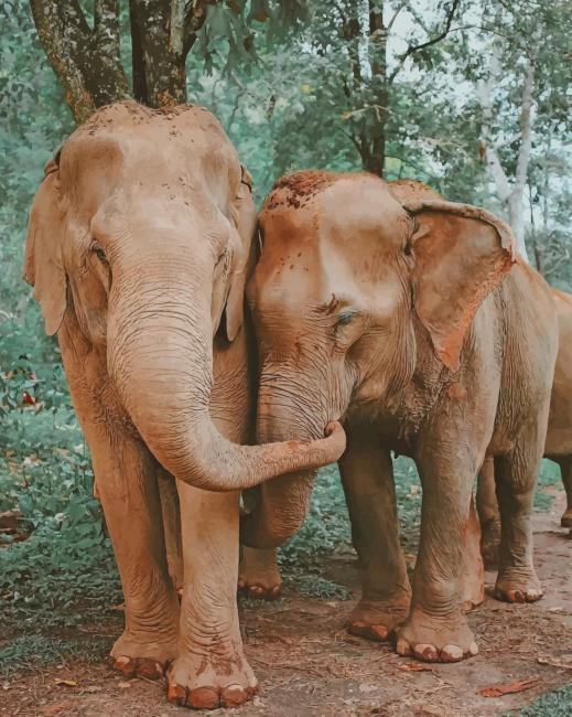 

Elephants Love – Paint By Numbers - 40*50CM, 501 Original