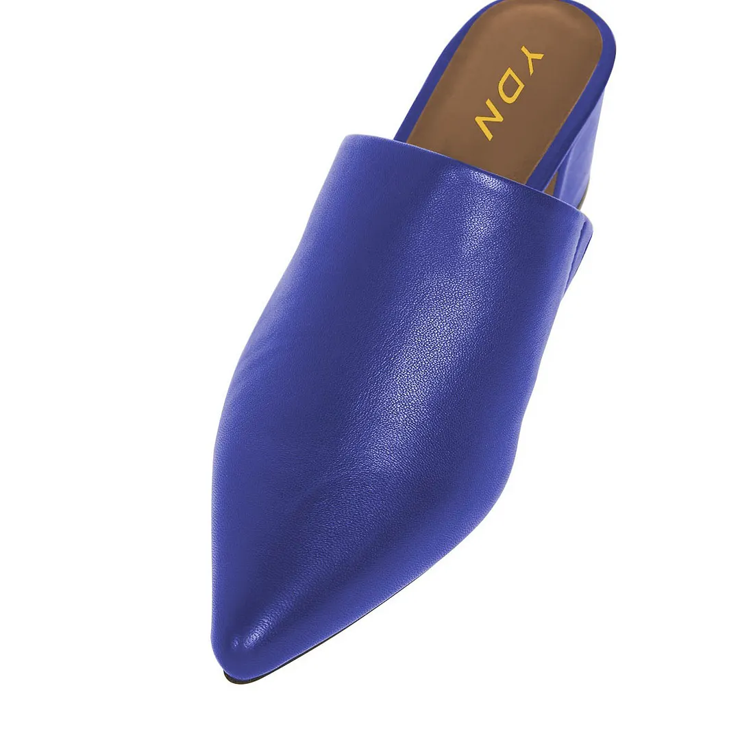 Stylish Closed Pointed Toe Low Chunky Heel Mules for Women in Blue