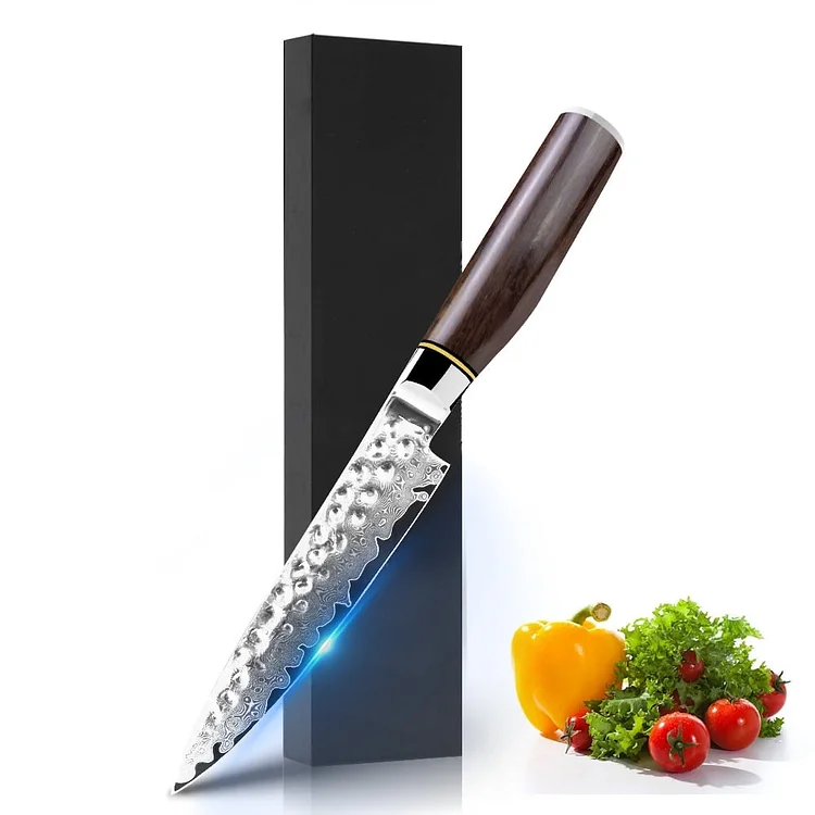 5 Inch Damascus Steel Kitchen Paring Knife High Carbon Steel VG-10 Steel Core Japanese Knife with Cover
