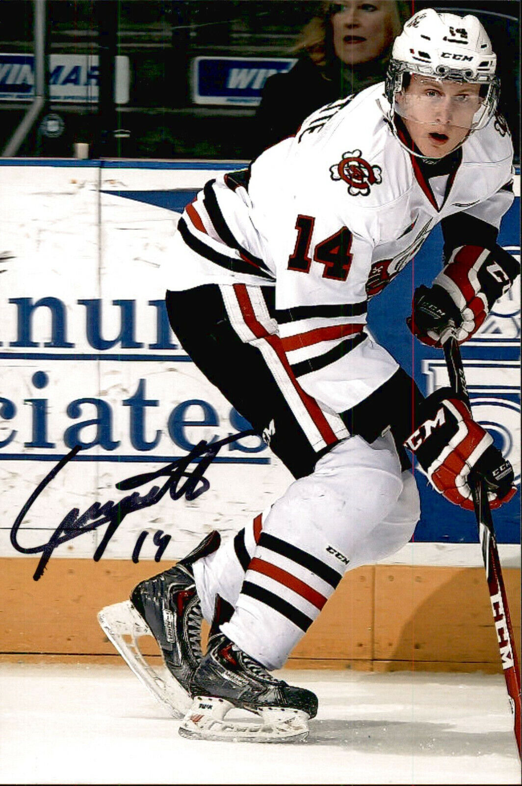 Chris Christopher Paquette SIGNED 4x6 Photo Poster painting NIAGARA ICE DOGS TAMPA BAY LIGHTNING