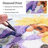 Diamond Painting-Square AB Drill Crow(45*35CM)