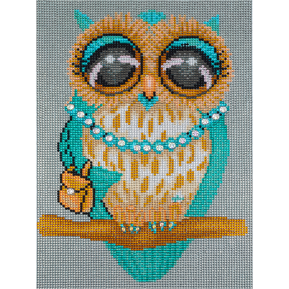 

Owl - Crystal Special Shaped Diamond Painting - 30*40CM, 501 Original