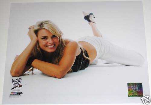 WWE COURTNEY OFFICIAL LICENSED 8X10 WRESTLING Photo Poster paintingFILE Photo Poster painting 3