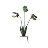 Metal Carnivorous Plant Garden Stake Weatherproof Large Venus Flytrap Plant Sculpture Rust Proof Painted Carnivorous Plants Garden Stake For Outdoor Gardens And Courtyards