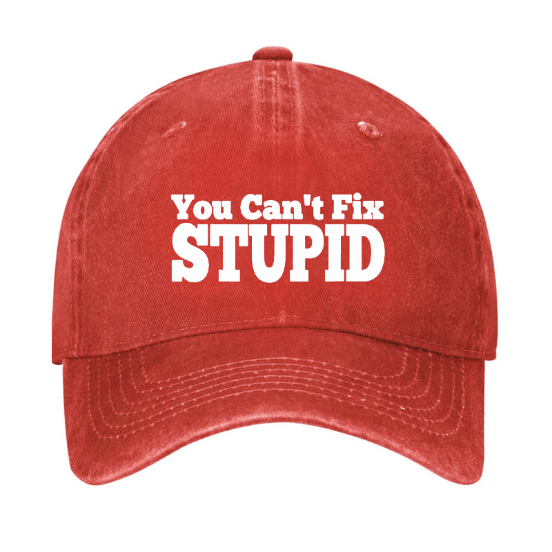 You Can't Fix Stupid Hat ctolen