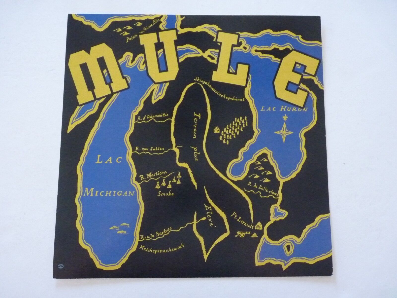 Mule Band LP Record Photo Poster painting Flat 12x12 Poster