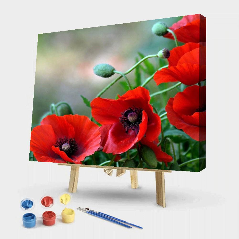 Poppy - Painting By Numbers - 50*40CM gbfke