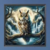 Diamond Painting-DIY Full Round Drill Owl(45x45cm)
