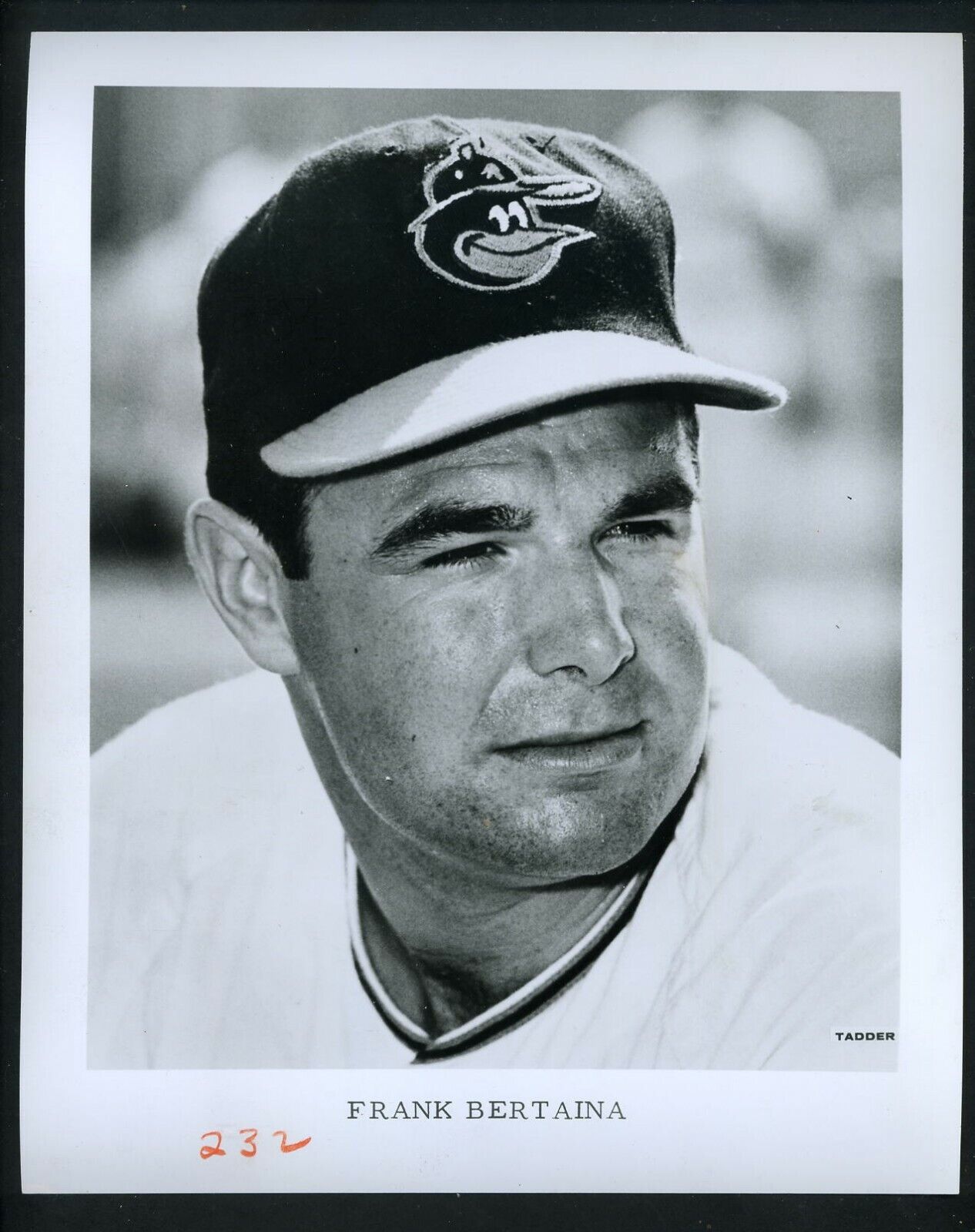 Frank Bertaina Baltimore Orioles 1967 Team Issued 8 x 10 Press Photo Poster painting