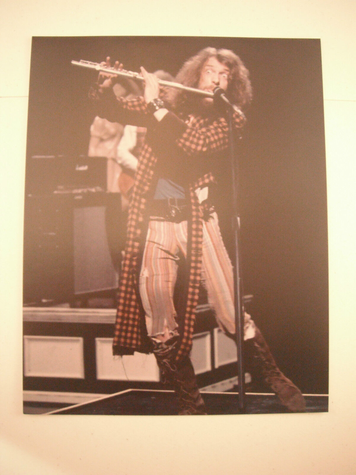 Ian Anderson Color 11x14 Promo Photo Poster painting Music #4