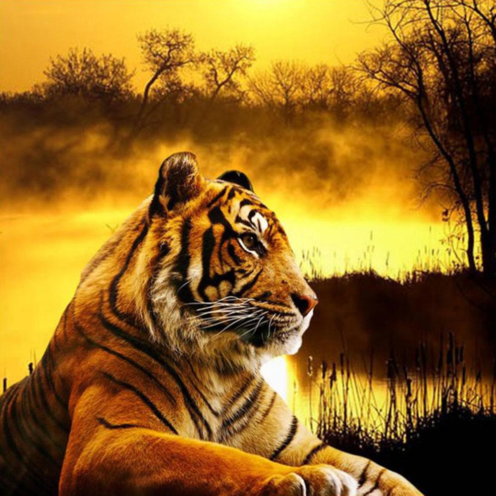

Tiger-Round Drill Diamond Painting-30*30CM, 501 Original