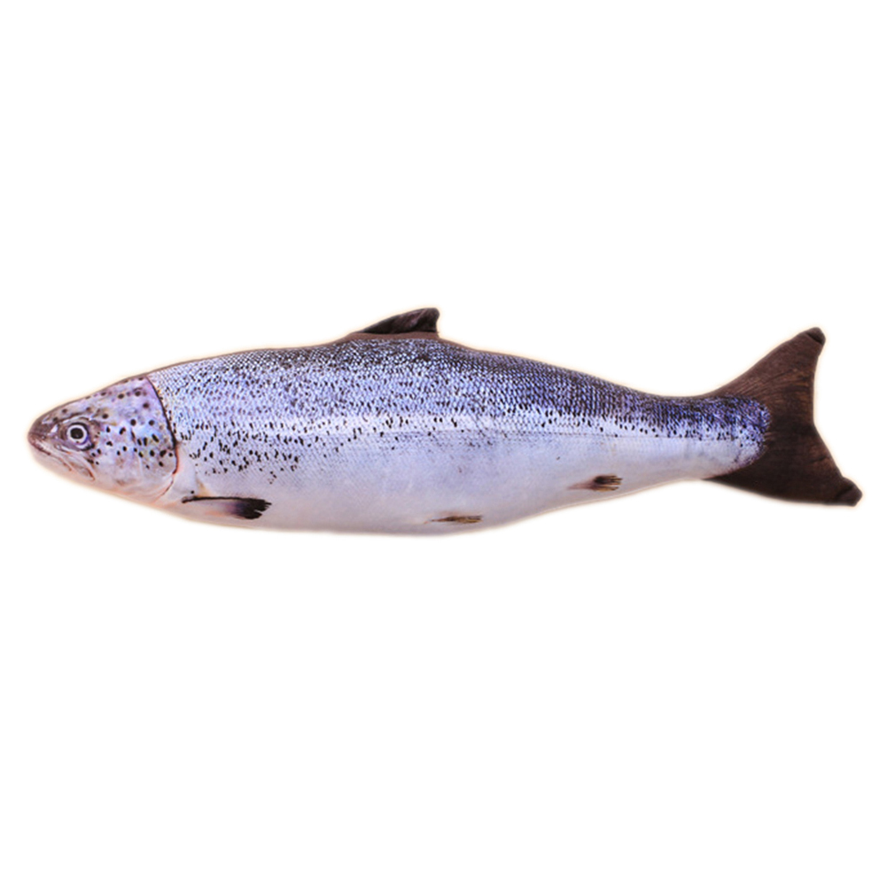 

Black-Grey Salmon- Electric Flippy Fish Cat Toy, 03, 501 Original