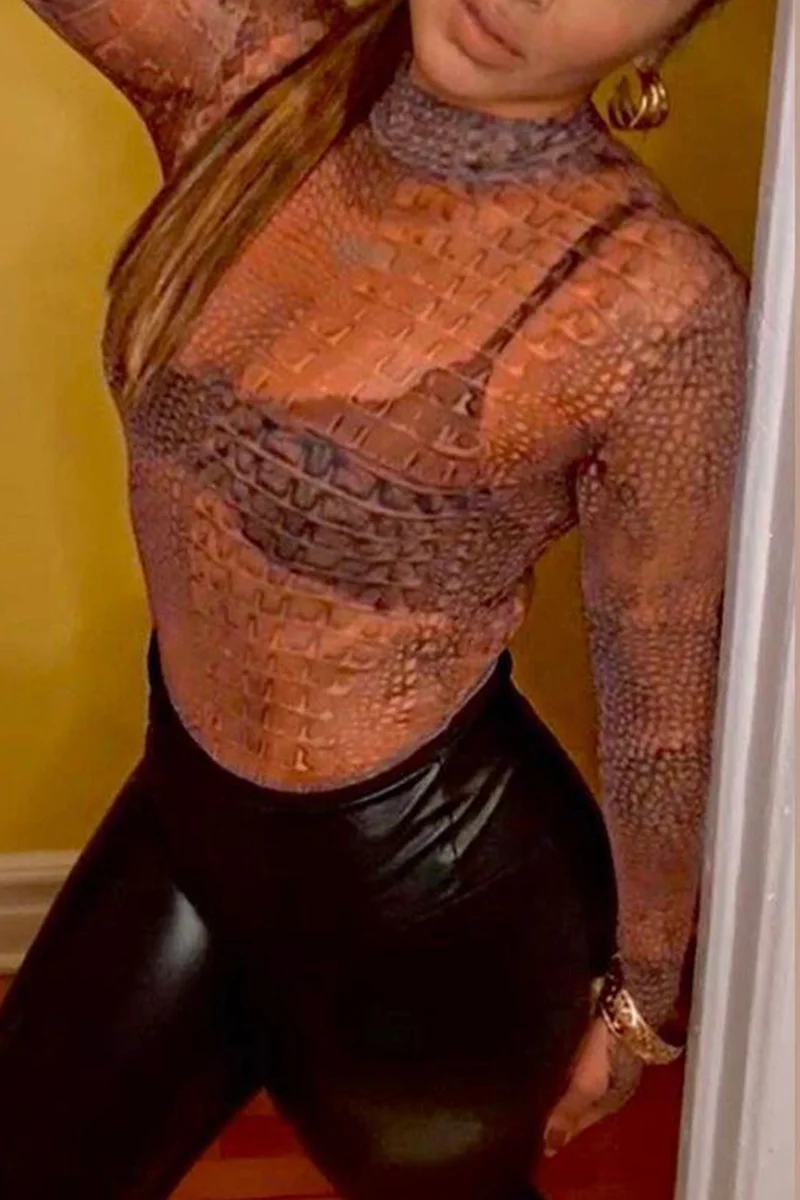 Brown Fashion Casual Print Turtleneck Tops