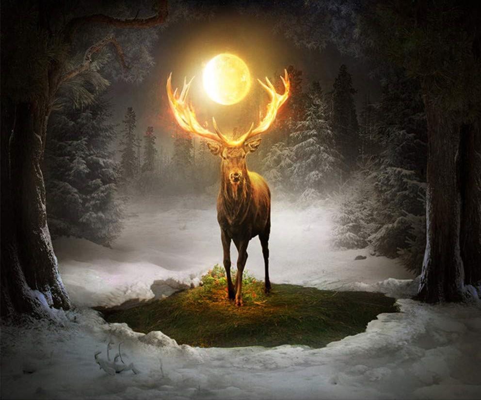 

Deer And Full Moon – Paint By Numbers - 40*50CM, 501 Original