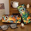 2 PCS Owl - 5D DIY Glasses Storage Box