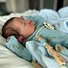 Babiesprincess Lifelike Reborn Baby Doll, Babiesprincess