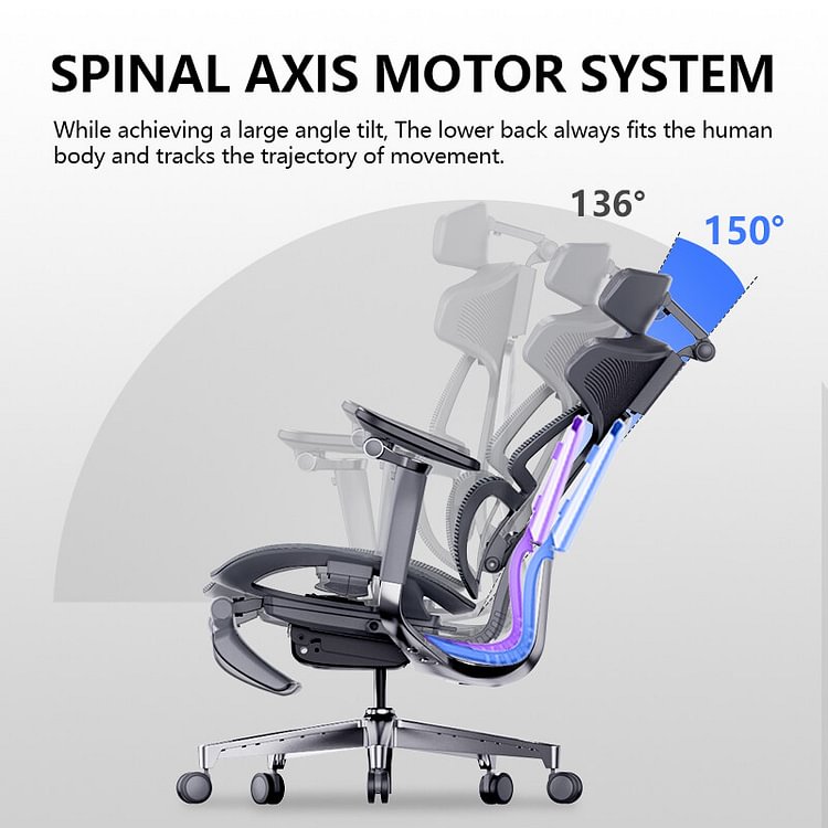 ToZient Ergonomic Office Chair,Adjustable Mechanism, Mesh Back and Seat  Support