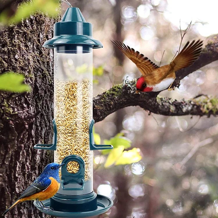 Bird Feeders for Outside