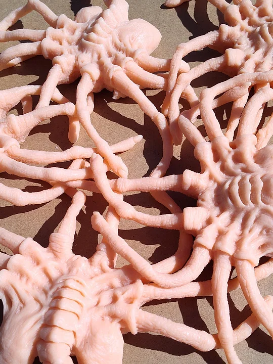 facehugger dildo