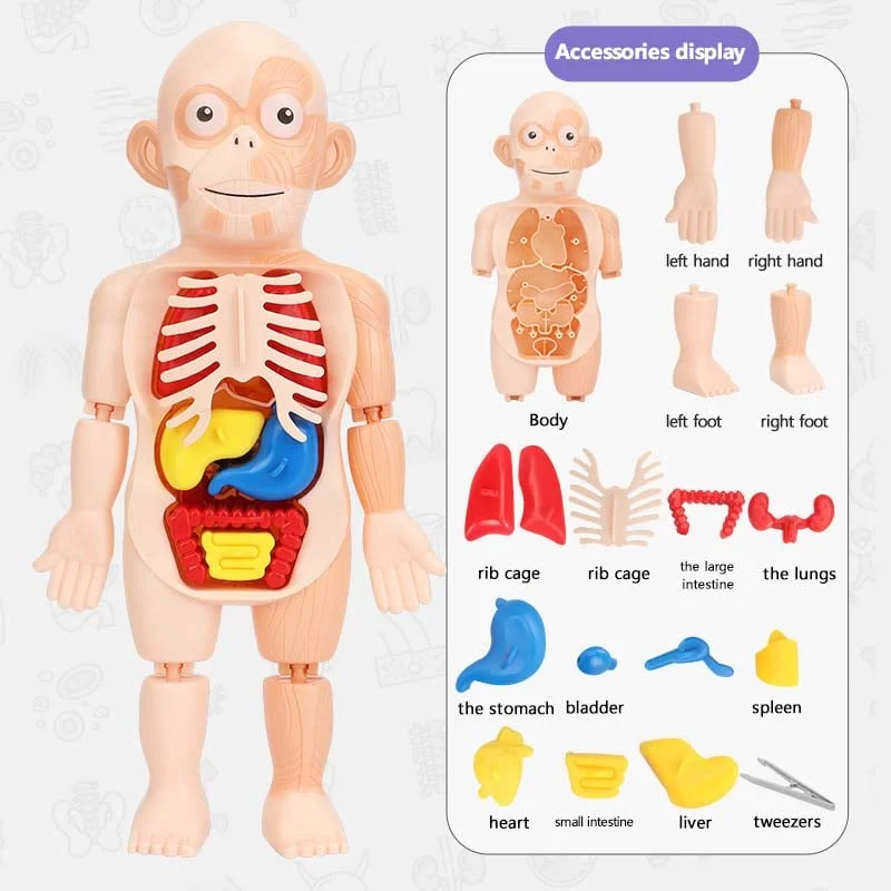 Halloween Children's Enlightenment Toys