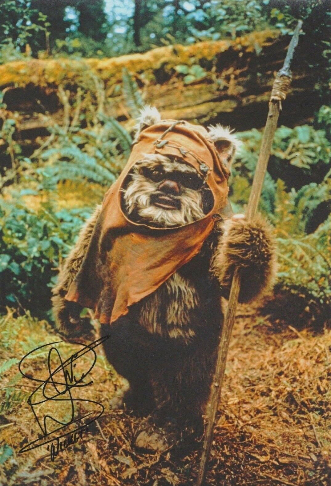 Warwick Davis **HAND SIGNED** 12x8 Photo Poster painting ~ AUTOGRAPHED ~ Star Wars EWOK