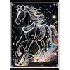 Diamond Painting-DIY Special Shaped Drill Pearl Painting Black Horse(30x40cm)