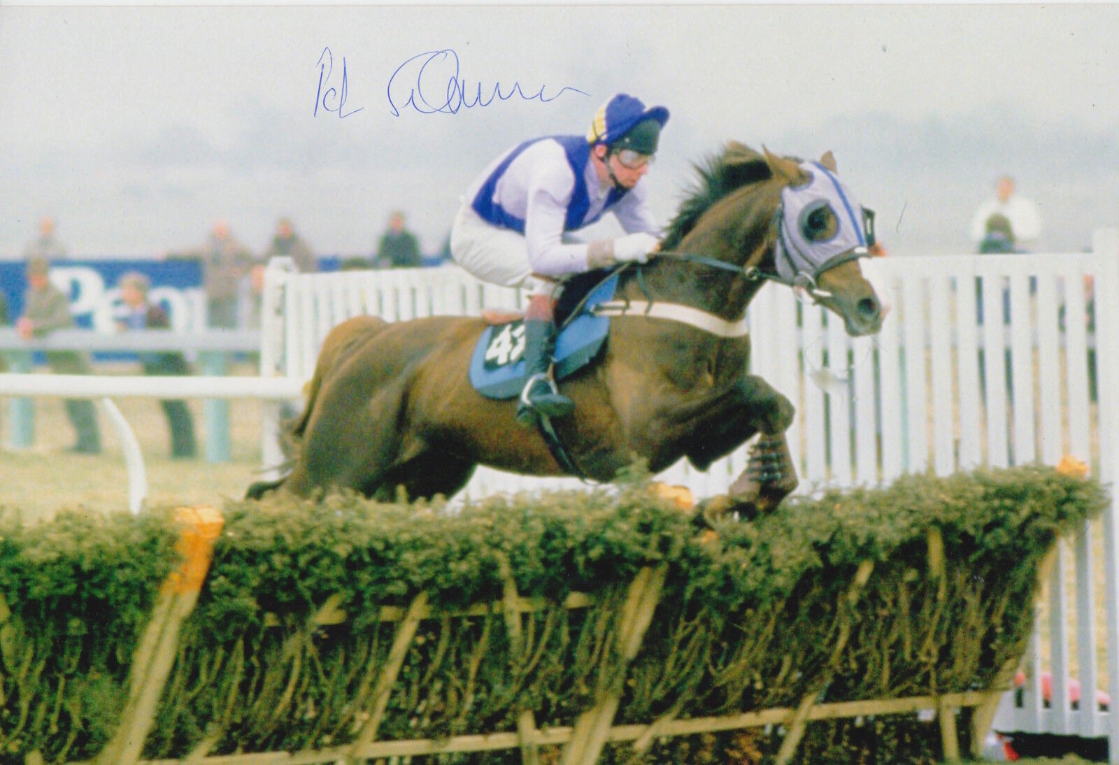 PETER SCUDAMORE HAND SIGNED SOLAR CLOUD 12X8 Photo Poster painting.