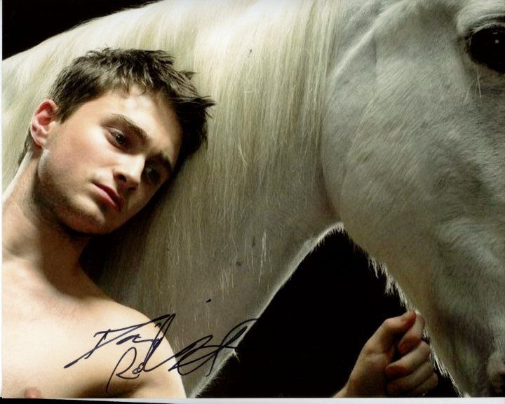 DANIEL RADCLIFFE Signed Autographed EQUUS ALAN STRANG Photo Poster painting