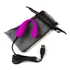 Unity g-spot and clitoral vibrator Vibrator for couples