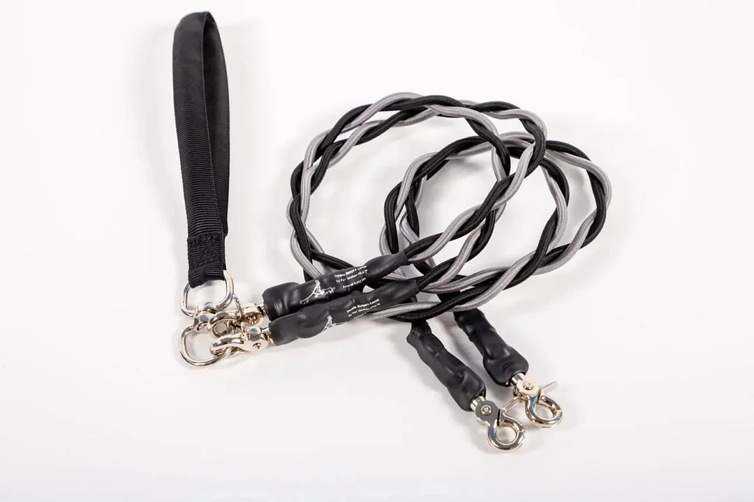 🔥Last Day: 50% OFF!🔥🐕Double Bungee Leash - 1st step training tool