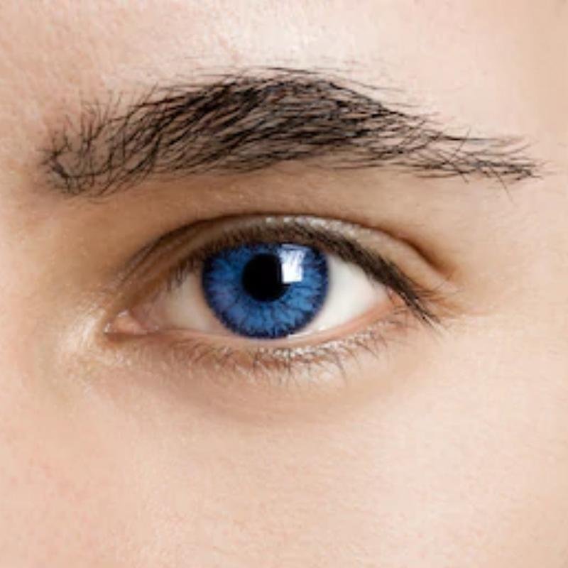 Men's blue-black (12 months) contact lenses