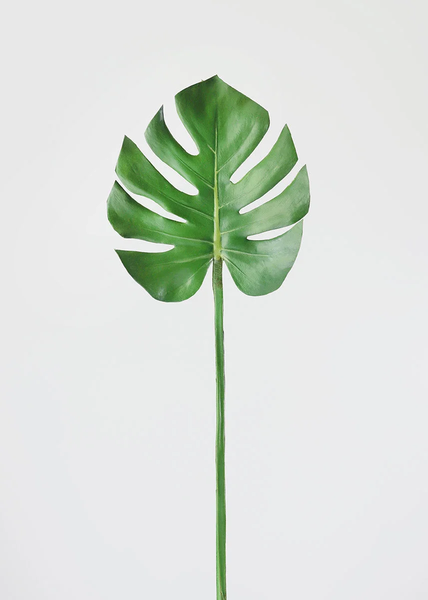 Real Touch Monstera Leaf - 29"