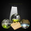 10W Potted Plants Light w/ Wood Board USB Landscape Aquarium Fish Tank Lamp