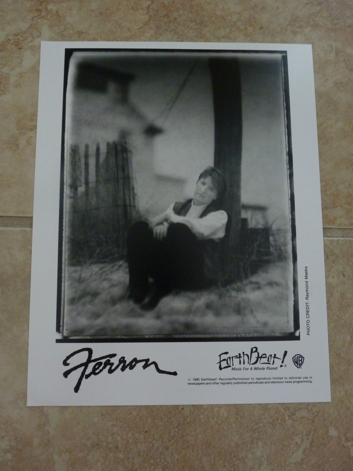 Ferron 1995 90's 8x10 B&W Publicity Picture Promo Photo Poster painting #2