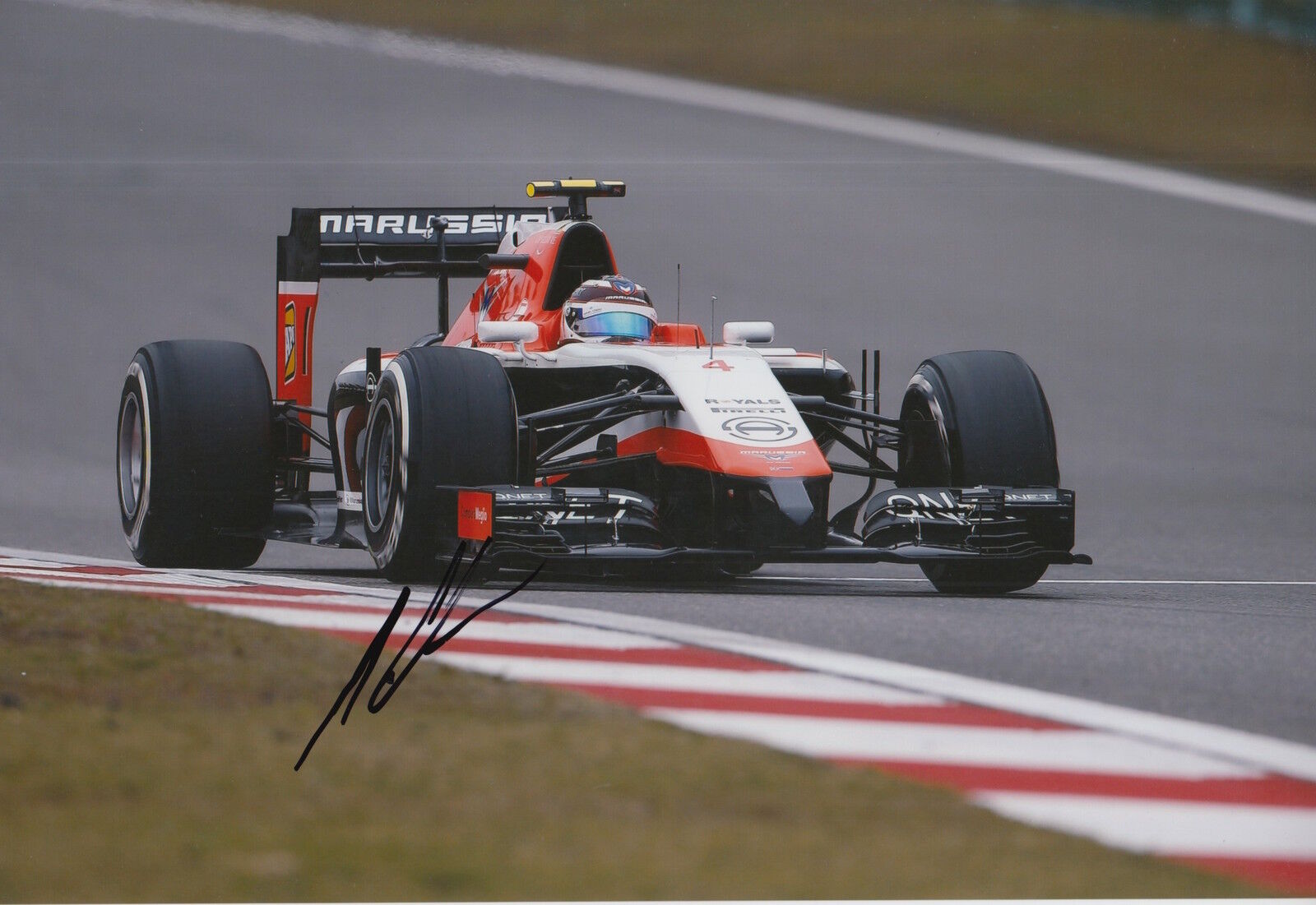 Max Chilton Hand Signed 12x8 Photo Poster painting Marussia F1 4.