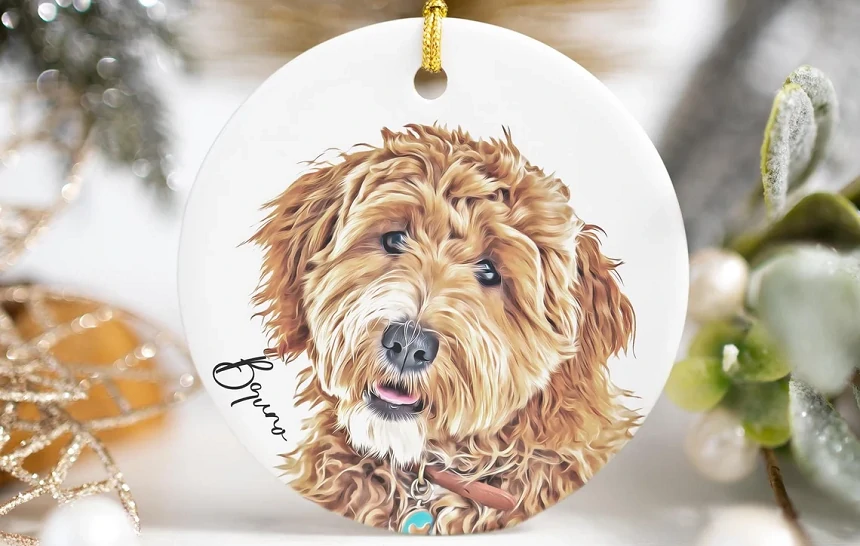 Creative dog id tag ideas to engrave beyond just a name